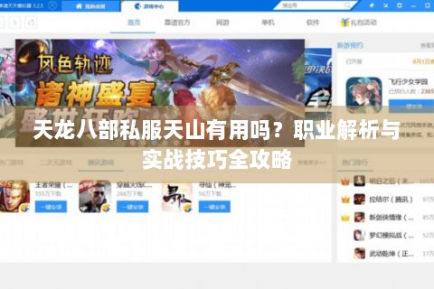 天龙八部私服天山有用吗？职业解析与实战技巧全攻略
