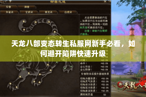 天龙八部变态转生私服网新手必看，如何避开陷阱快速升级