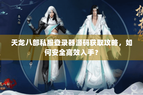 天龙八部私服登录器源码获取攻略，如何安全高效入手？