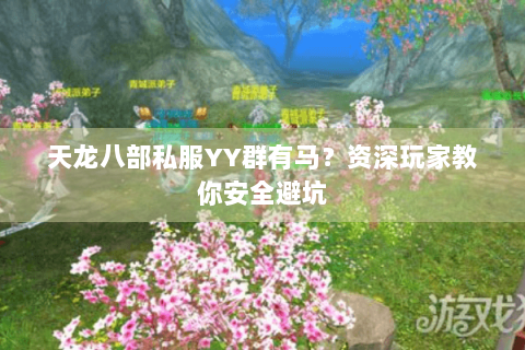 天龙八部私服YY群有马？资深玩家教你安全避坑