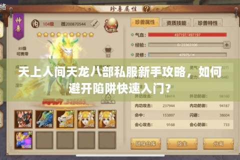 天上人间天龙八部私服新手攻略，如何避开陷阱快速入门？
