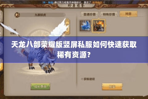 天龙八部荣耀版竖屏私服如何快速获取稀有资源？