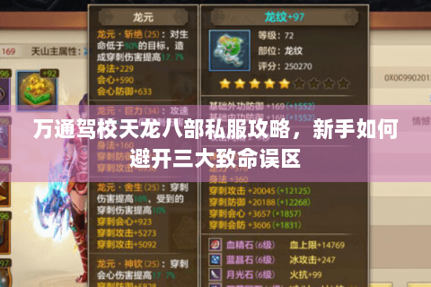 万通驾校天龙八部私服攻略，新手如何避开三大致命误区