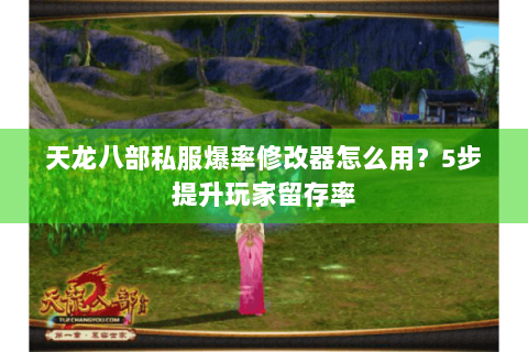 天龙八部私服爆率修改器怎么用？5步提升玩家留存率