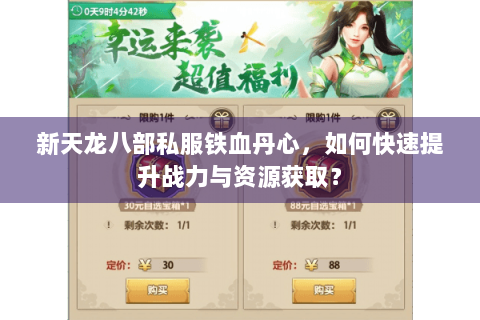 新天龙八部私服铁血丹心，如何快速提升战力与资源获取？