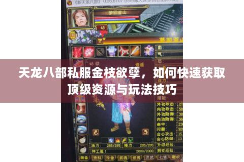天龙八部私服金枝欲孽，如何快速获取顶级资源与玩法技巧