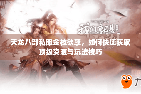 天龙八部私服金枝欲孽，如何快速获取顶级资源与玩法技巧