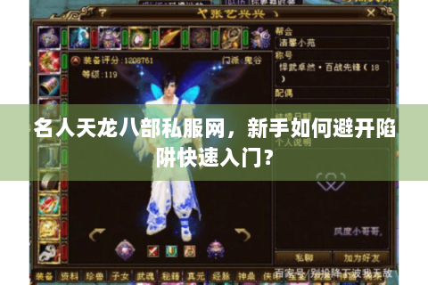 名人天龙八部私服网，新手如何避开陷阱快速入门？