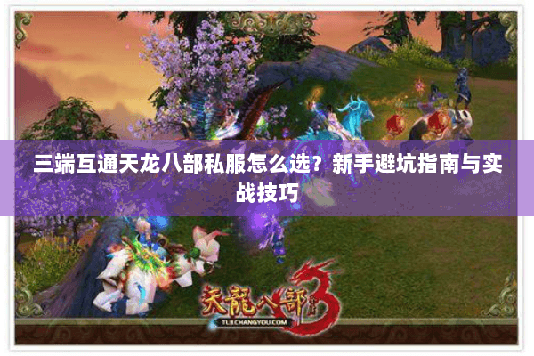 三端互通天龙八部私服怎么选？新手避坑指南与实战技巧