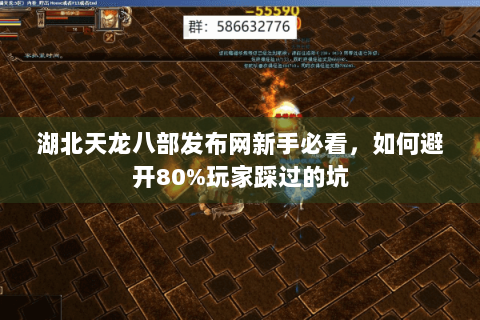 湖北天龙八部发布网新手必看，如何避开80%玩家踩过的坑