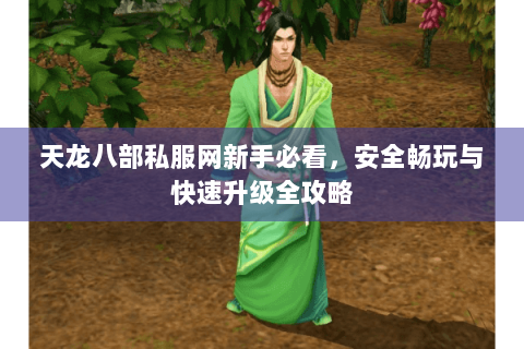 天龙八部私服网新手必看，安全畅玩与快速升级全攻略