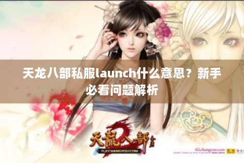 天龙八部私服launch什么意思？新手必看问题解析