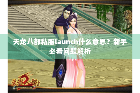 天龙八部私服launch什么意思？新手必看问题解析