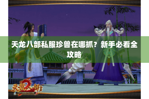 天龙八部私服珍兽在哪抓？新手必看全攻略