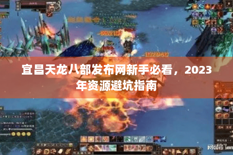 宜昌天龙八部发布网新手必看，2023年资源避坑指南