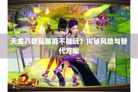 天龙八部私服能不能玩？揭秘风险与替代方案