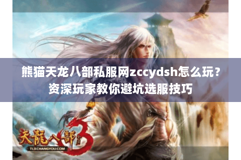 熊猫天龙八部私服网zccydsh怎么玩？资深玩家教你避坑选服技巧