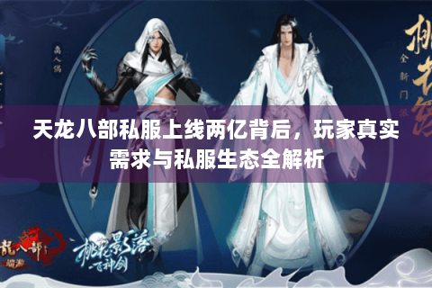 天龙八部私服上线两亿背后，玩家真实需求与私服生态全解析