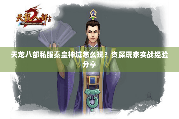 天龙八部私服秦皇神域怎么玩？资深玩家实战经验分享