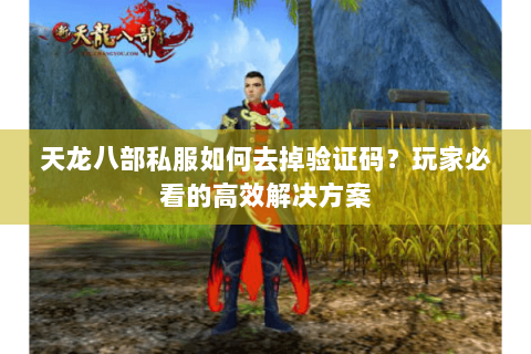 天龙八部私服如何去掉验证码？玩家必看的高效解决方案