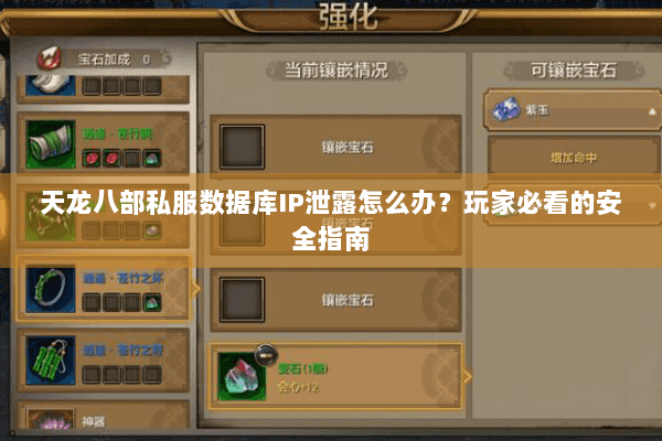 天龙八部私服数据库IP泄露怎么办？玩家必看的安全指南