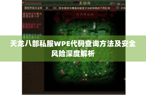 天龙八部私服WPE代码查询方法及安全风险深度解析