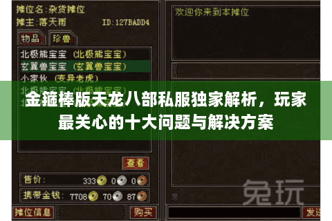 金箍棒版天龙八部私服独家解析，玩家最关心的十大问题与解决方案