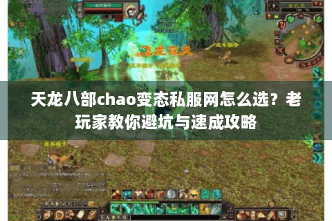 天龙八部chao变态私服网怎么选？老玩家教你避坑与速成攻略