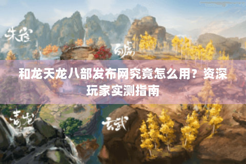 和龙天龙八部发布网究竟怎么用？资深玩家实测指南