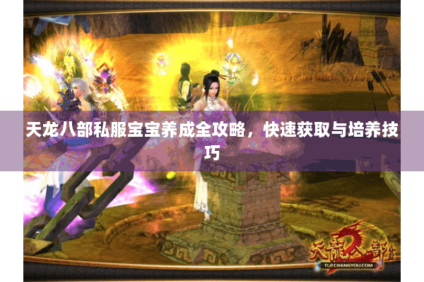 天龙八部私服宝宝养成全攻略，快速获取与培养技巧