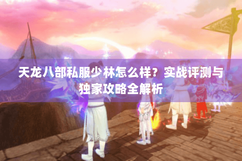 天龙八部私服少林怎么样？实战评测与独家攻略全解析