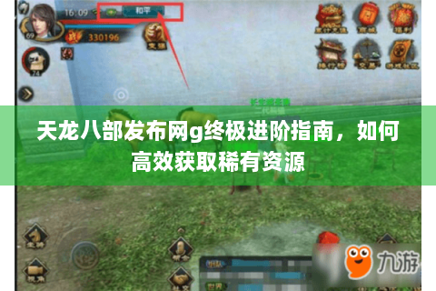 天龙八部发布网g终极进阶指南，如何高效获取稀有资源