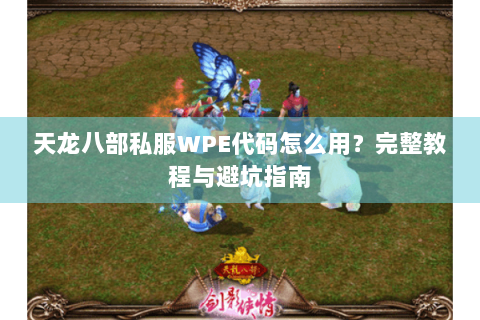 天龙八部私服WPE代码怎么用？完整教程与避坑指南