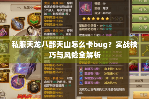 私服天龙八部天山怎么卡bug？实战技巧与风险全解析