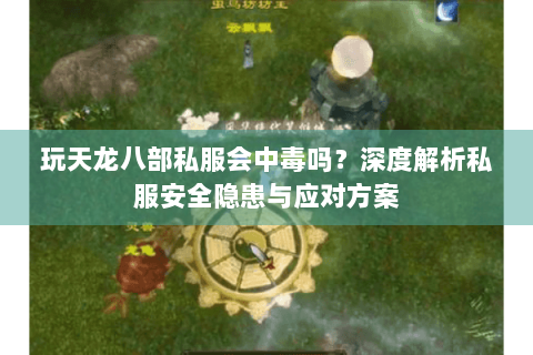 玩天龙八部私服会中毒吗？深度解析私服安全隐患与应对方案