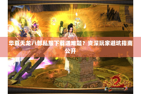 华夏天龙八部私服下载遇难题？资深玩家避坑指南公开