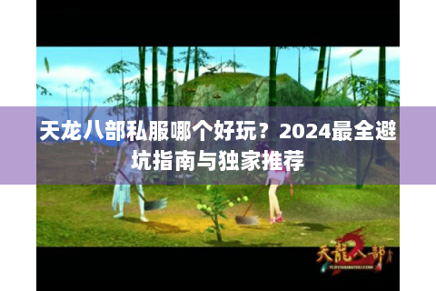 天龙八部私服哪个好玩？2024最全避坑指南与独家推荐