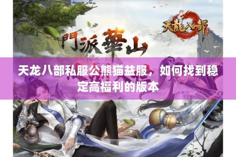天龙八部私服公熊猫益服，如何找到稳定高福利的版本