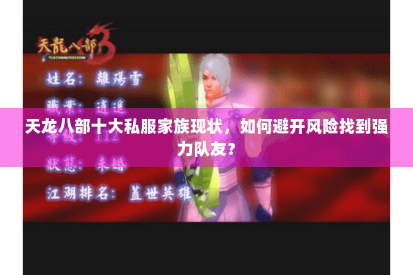 天龙八部十大私服家族现状，如何避开风险找到强力队友？