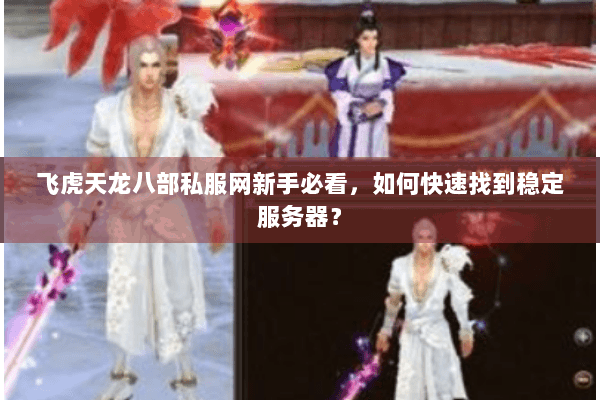 飞虎天龙八部私服网新手必看，如何快速找到稳定服务器？