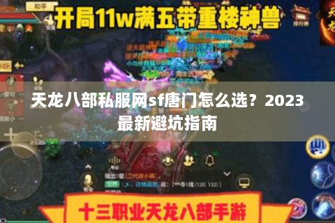 天龙八部私服网sf唐门怎么选？2023最新避坑指南