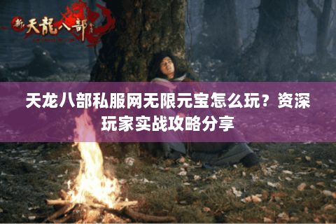 天龙八部私服网无限元宝怎么玩？资深玩家实战攻略分享