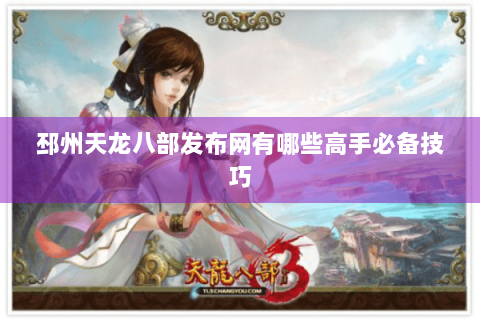 邳州天龙八部发布网有哪些高手必备技巧