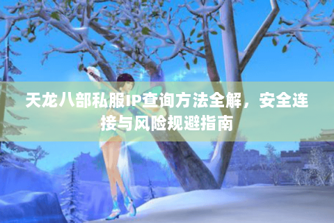 天龙八部私服IP查询方法全解，安全连接与风险规避指南