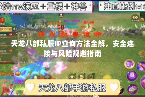天龙八部私服IP查询方法全解，安全连接与风险规避指南