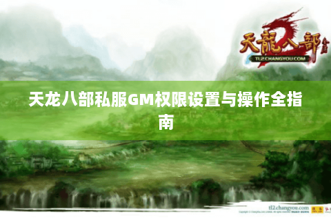 天龙八部私服GM权限设置与操作全指南