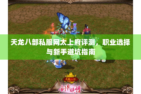 天龙八部私服网太上府评测，职业选择与新手避坑指南