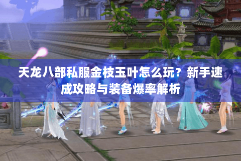 天龙八部私服金枝玉叶怎么玩？新手速成攻略与装备爆率解析
