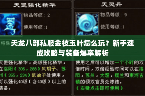 天龙八部私服金枝玉叶怎么玩？新手速成攻略与装备爆率解析