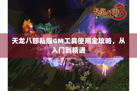 天龙八部私服GM工具使用全攻略，从入门到精通